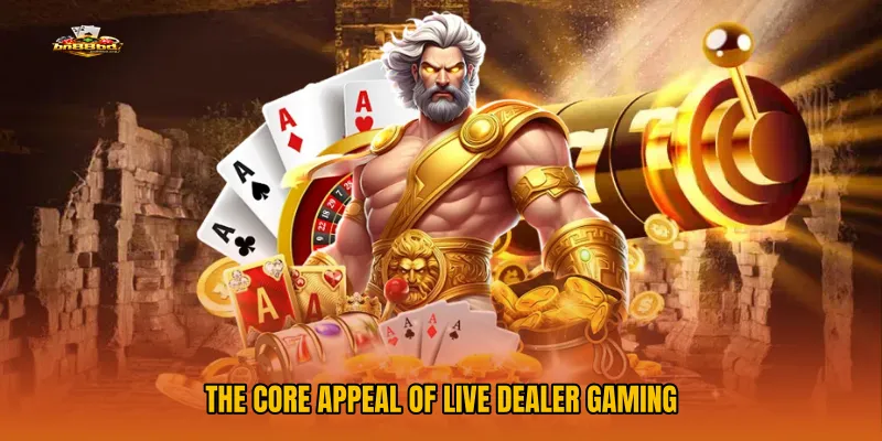 The Core Appeal of Live Dealer Gaming
