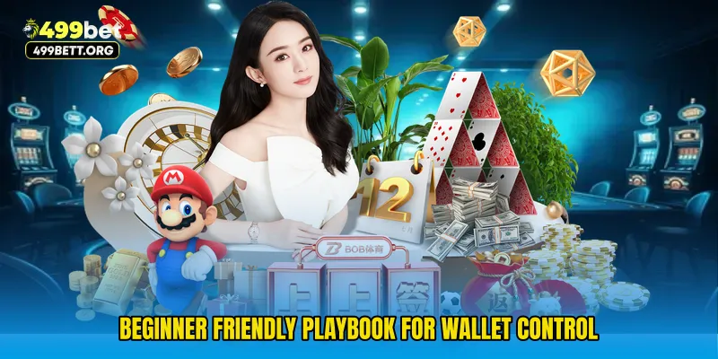 Beginner Friendly Playbook for wallet control